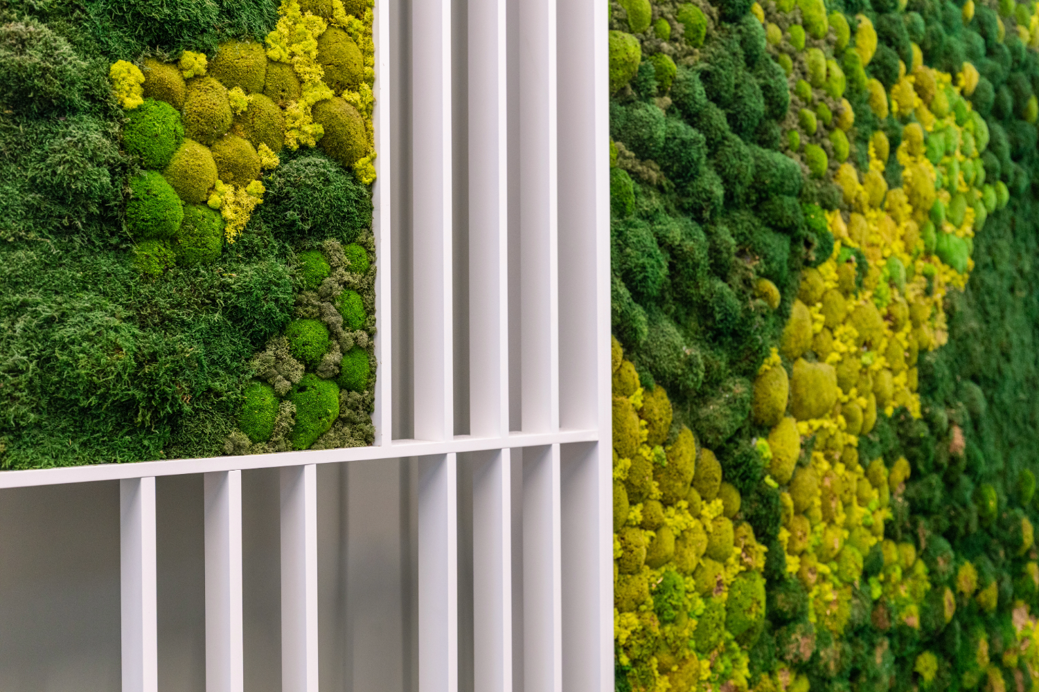 Biophilic Design (2)